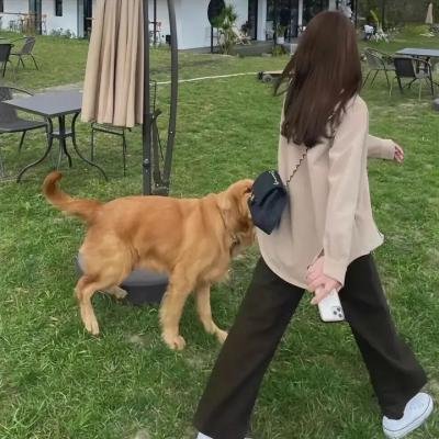 以眼还眼2019